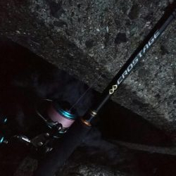 teamゲッソー調査隊