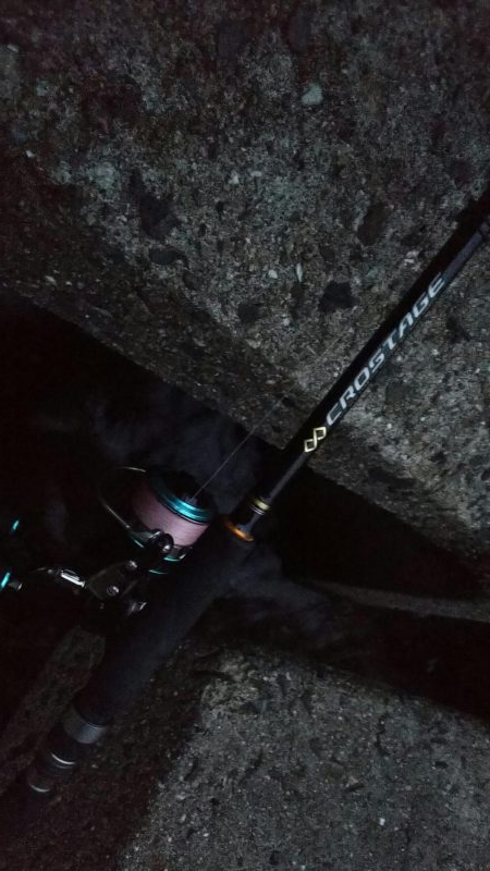 teamゲッソー調査隊