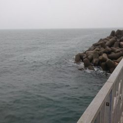 ２日連続タチウオ遠征