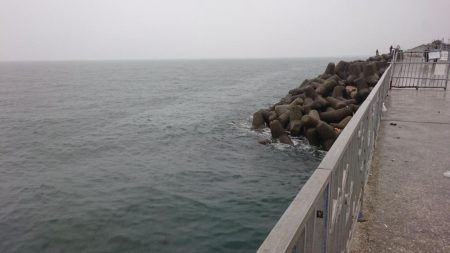 ２日連続タチウオ遠征