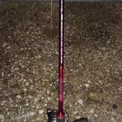 またタチウオ貝塚遠征