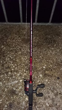 またタチウオ貝塚遠征