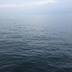 今日は泉大津エリアでタチウオ釣り