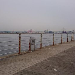 今日も仕事前に南港タチウオ調査