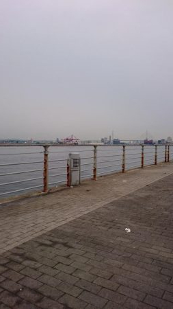 今日も仕事前に南港タチウオ調査