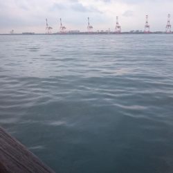 雨だからこそ行くタチウオ釣行