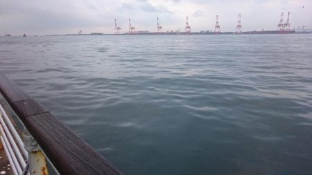 雨だからこそ行くタチウオ釣行