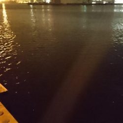 湾奥マイポイント調査