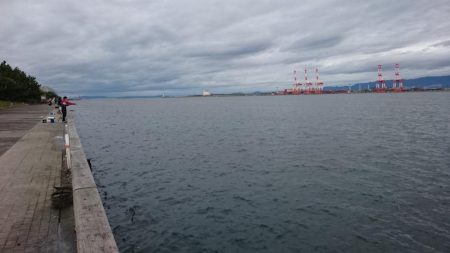 台風直前タチウオ釣行