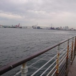 タチウオ釣行 中潮に期待