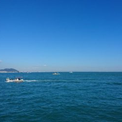 青物好調じゃ～ないの？