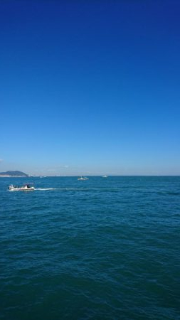 青物好調じゃ～ないの？