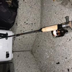 サーフアジング