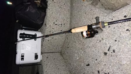 サーフアジング