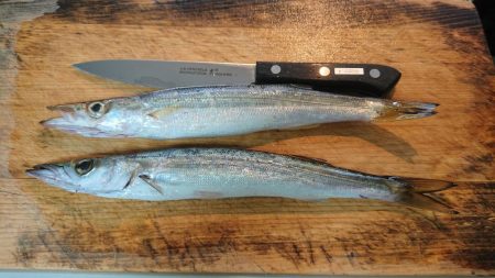 静岡県で初タチ