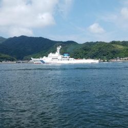 境水道で五目釣り