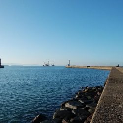 高砂港でハゼ入れ食い