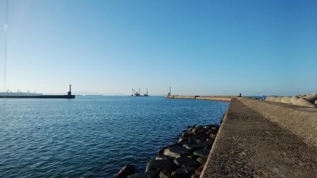 高砂港でハゼ入れ食い