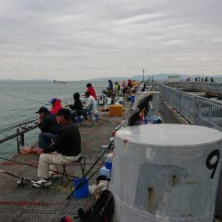 呑ませでツバス