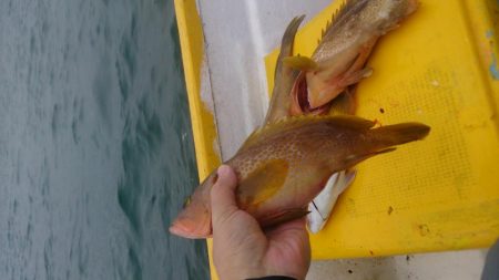 二馬力ボートでタイラバ