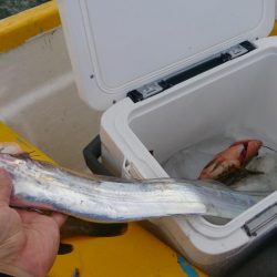 二馬力ボート釣行