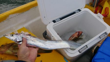 二馬力ボート釣行