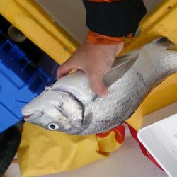 二馬力ボートで五目釣り