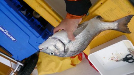 二馬力ボートで五目釣り