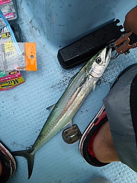 ティップランにて