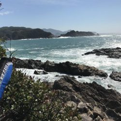 カゴ釣りでグレ2枚、ヘダイ1枚！