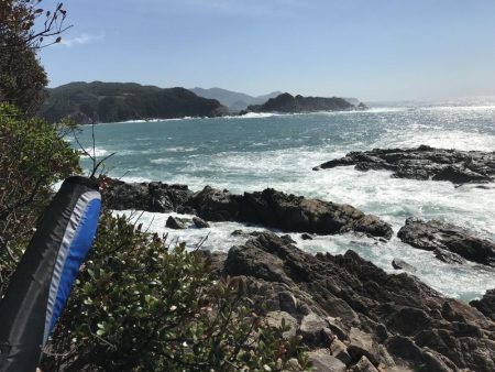 カゴ釣りでグレ2枚、ヘダイ1枚！