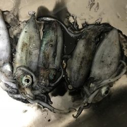 帰りの一時間で！