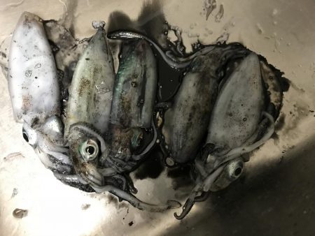 帰りの一時間で！