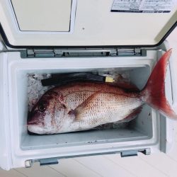 ショアジギング最高