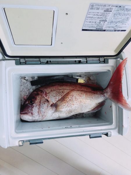 ショアジギング最高