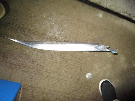 台風前の最終釣行