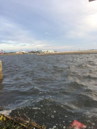 来週はハゼ釣り大会あるょー