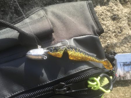 アカハタちゃん