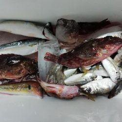 再び台風前に❗