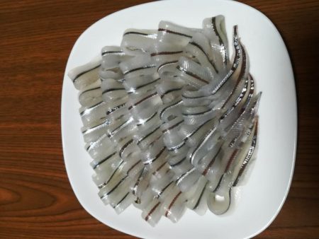 サヨリ よく釣れました