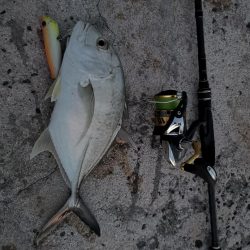 港から自作ポッパーでギンガメアジ