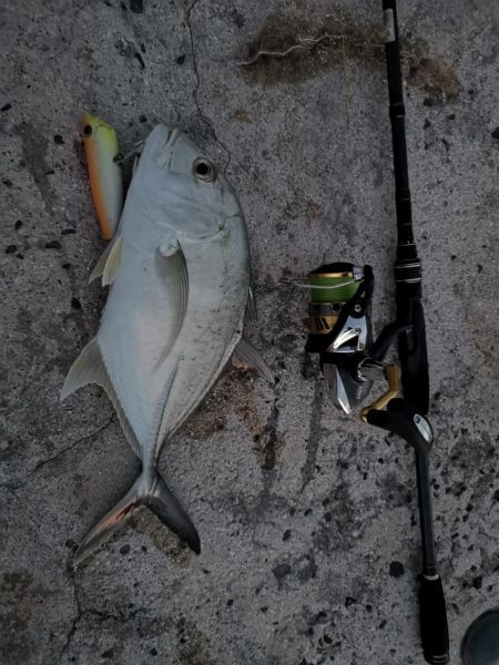 港から自作ポッパーでギンガメアジ