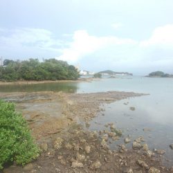 ｷｽ釣れました！