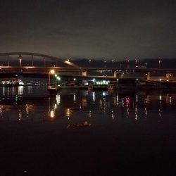 南港フェリーヘチ釣り （キビレ35cm、小真チヌ 釣果）