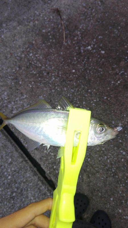 あーじアイエヌジー