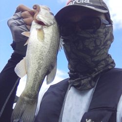 夏より浅いところに来ています。