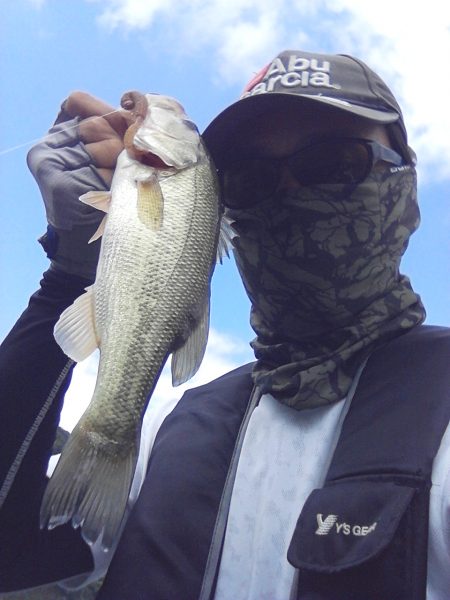 夏より浅いところに来ています。