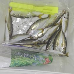 ライトゲーム！！