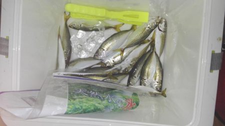 ライトゲーム！！