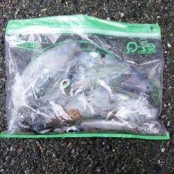 マズメは釣れる